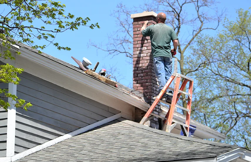 Chimney & Fireplace Inspections Services in Valrico, FL